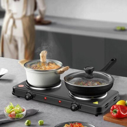 2 Burner Electric Hot Plate Stove – Double Electric Cooking Plate with Adjustable Temperature Control | Sanivari