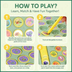 FLIPPING CHESS GAME - gallery image 10